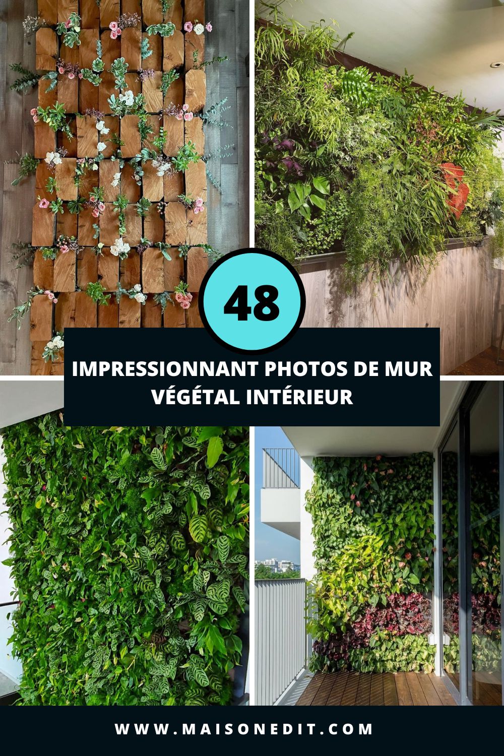 48 Impressionnant Photos De Mur Végétal Intérieur